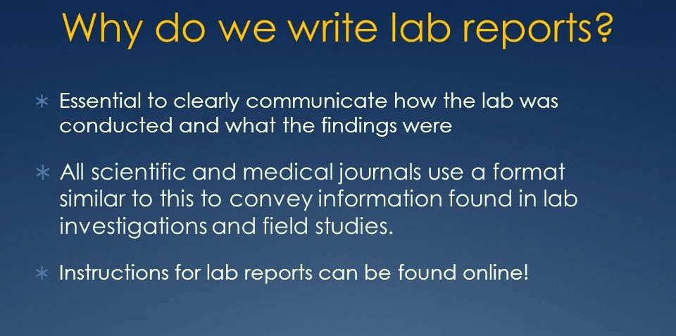 Scientific Lab Report